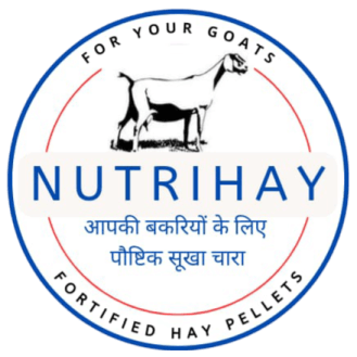 Nutrimash Logo